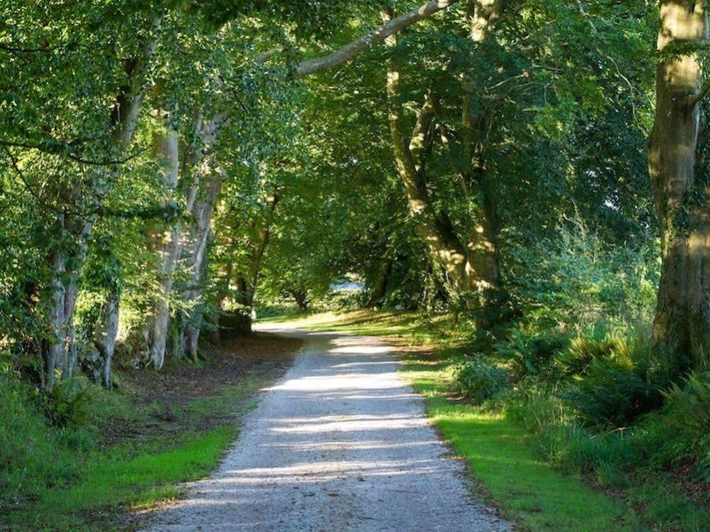 Le Manoir De La Fieffe Bed and Breakfast Cherbourg-en-Cotentin Εξωτερικό φωτογραφία
